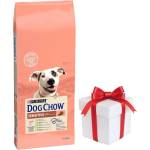 Dog Chow Adult Sensitive Salmon 14 кг + безплатна изненада за кучето