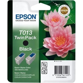 Epson T013402 Twin Pack