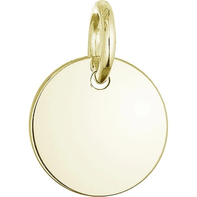 Evolution Group Pozlacený stříbrný přívěsek placička 64092