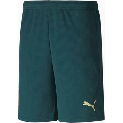 Puma pánské kraťasy Figc Trhird shorts Replica Green zelená