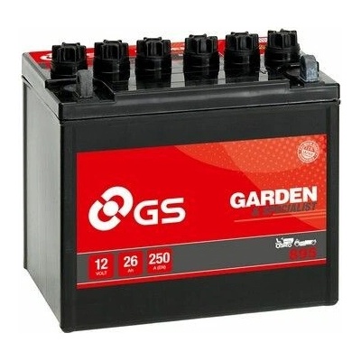 GS GS-895