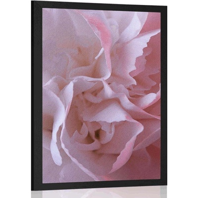Plakát lupínky karafiátu - 40x60 silver