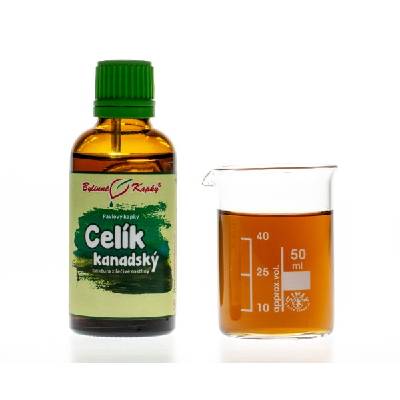 Bylinné kapky Celík (zlatobyľ) kanadský - bylinné kvapky (tinktúra) 50 ml