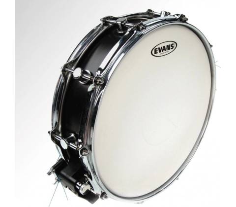 Evans 14" Power Center Reverse Dot Coated
