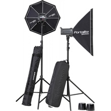 Elinchrom D-Lite RX 4/4 TO GO Set