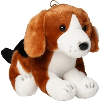 psík beagle