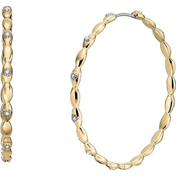 Fossil nášunice JF04817710