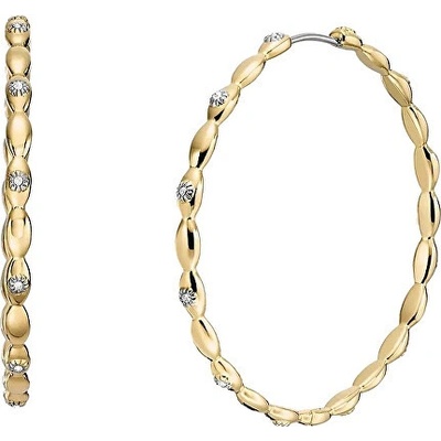 Fossil nášunice JF04817710