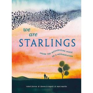We Are Starlings: Inside the Mesmerizing Magic of a Murmuration | Donna Jo Napoli, Marc Martin (ISBN: 9780593381632)