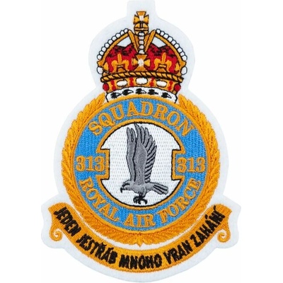 Nášivka: RAF 313. peruť