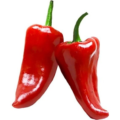 Need For Seed Chilli Piquillo semena 10 ks