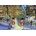 Bluebird Puzzle - Puzzle Christmas House 1000 - 1 000 piese