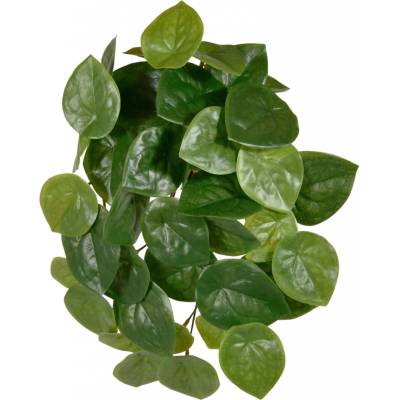 MF Umělá rostlina Pilea (30cm)