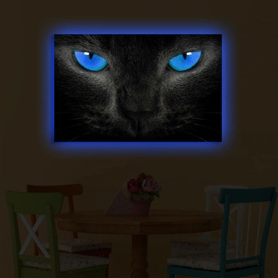 ASIR Nástěnný obraz s LED osvětlením CAT