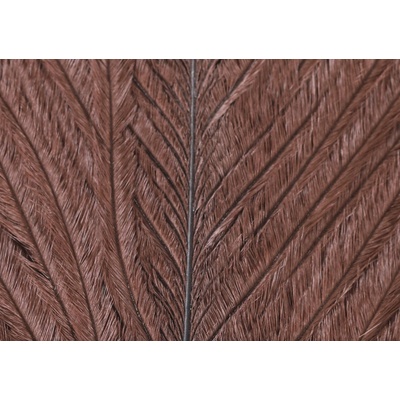 Veniard Pštrosí Peří Ostrich Herl Dark Brown