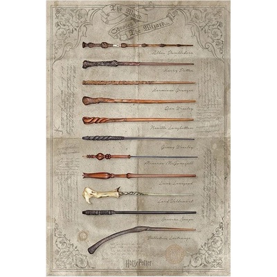 CurePink: | Plakát Harry Potter: The Wand Chooses The Wizard (61 x 91,5 cm) [PP34395]
