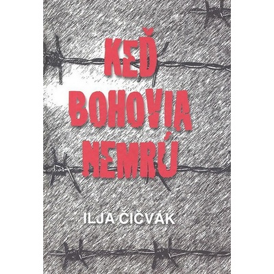 Keď bohovia nemrú - Ilja Čičvák