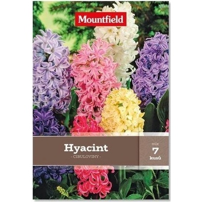 Hyacint mix 7 ks