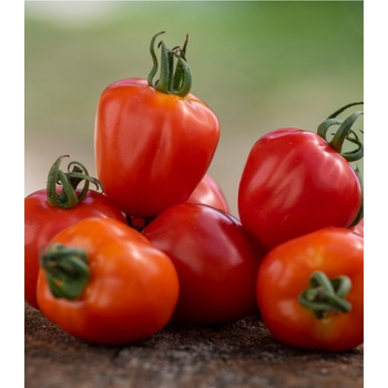 Rajče Jahodo - Solanum lycopersicum - semena rajčete - 25 ks