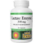 Natural Factors Lactase Enzyme, 60 Capsules