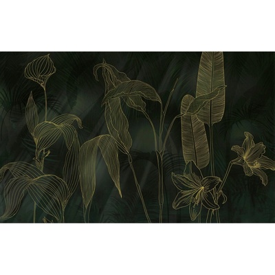 Komar Vliesová fototapeta Darkest Green 400 x 250 cm