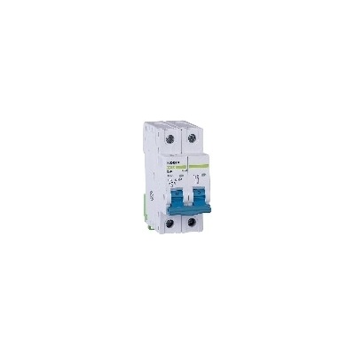Noark Electric Ex9BH 2P C20