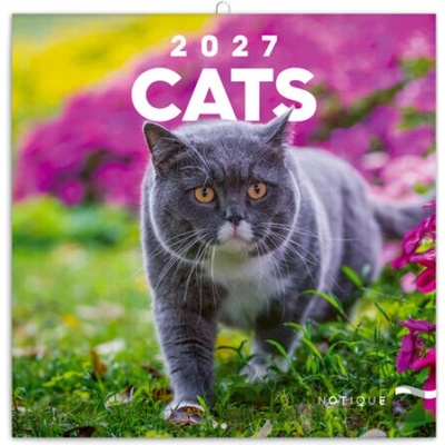 Poznámkový Kočky nástěnný 2027