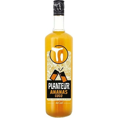 Ti Arrangés de Ceď Planteur Ananas Coco 12,9% 1 l (holá láhev)