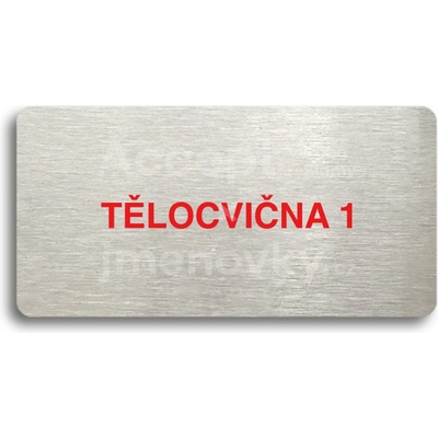ACCEPT Piktogram TĚLOCVIČNA 1 - stříbrná tabulka - barevný tisk bez rámečku