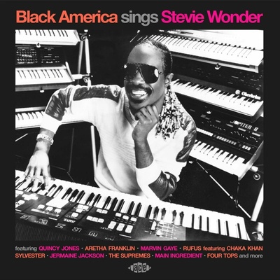 Various Artists - Black America Sings Stevie Wonder CD