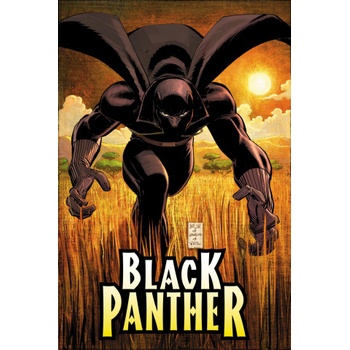 Black Panther by Reginald Hudlin Omnibus John Romita Jr. Cover | Peter Milligan, John Romita, Marvel Various