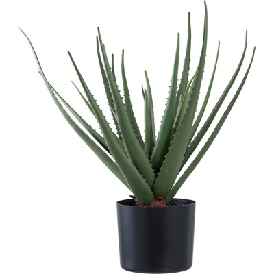 House Nordic Изкуствено растение (височина 51 cm) Aloe Vera - House Nordic (9501001)