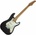 Schecter Nick Johnston
