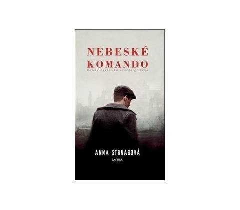Nebeské komando