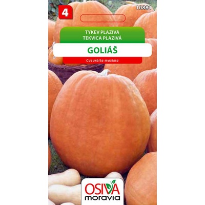 Tykev plazivá Goliáš 8 s