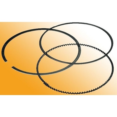 Athena S41316013