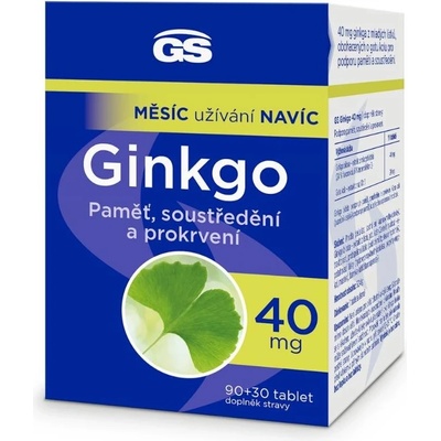 GS Ginkgo 40 mg 90+30 tablet