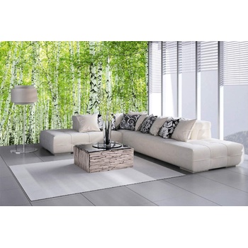 DIMEX ART s. r. o Самозалепваща се флизелинова фототапета пролетна брезова гора 375 x 250 см