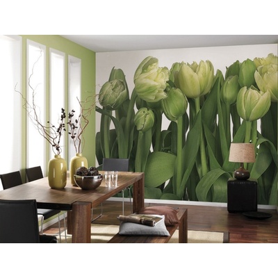 Komar 8-900 Tulips Fototapeta Tulipány rozměry 368 x 254 cm