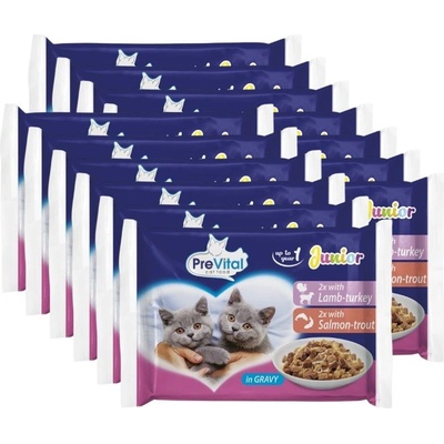 PreVital Cat Junior Консерва агнешка-индийка/сьомга-истинска риба в сос 52 x 100 г