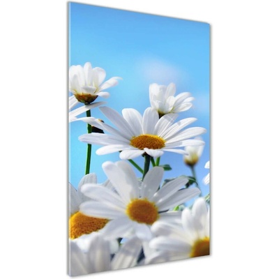 Vertikálny foto obraz sklo tvrdené Sedmokrásky 50x100 cm