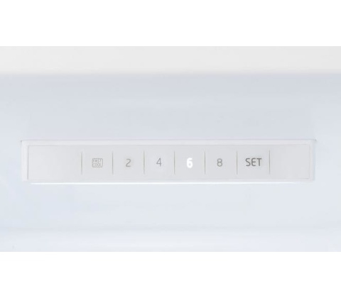 Amica FK2995.2FTX