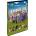 MagicBox Old Gossiptown - DVD (000290)