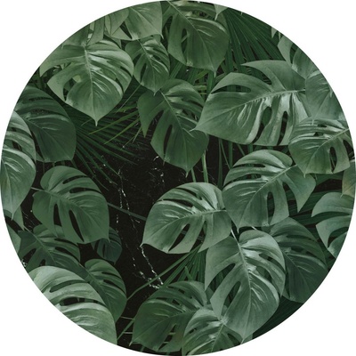 Komar KT-D1023 Kulatá samolepocí obrazová fototapeta Novel Monstera velikost průměr 128 cm