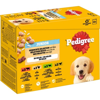 Pedigree Junior Multipack miešaný výber v želé 4 varianty 12 x 100 g