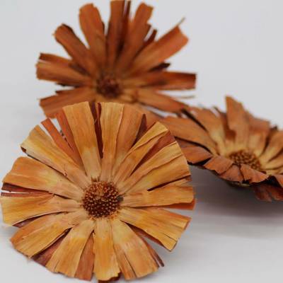 Protea supercut loose 9cm - 30ks
