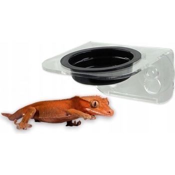 Repti Planet krmítko akrylové 1 miska 8x8x6,2 cm
