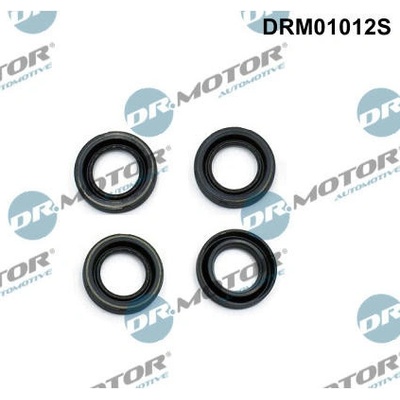 Tesneni, drzak trysky Dr.Motor Automotive DRM01012S