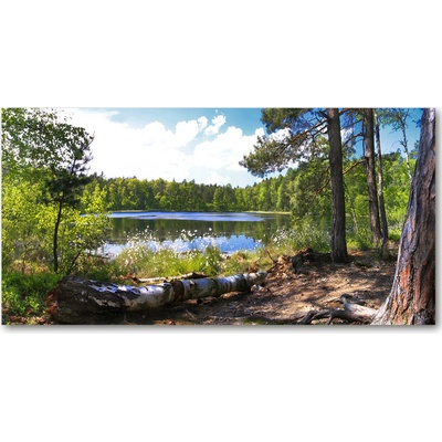 Foto obraz sklo tvrzené lesné panorama 100x50 cm