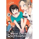 How Do We Relationship?, Vol. 3